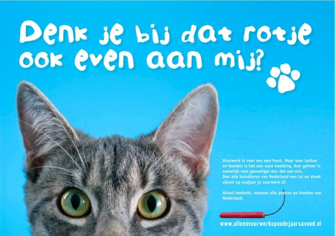 Poes-vuurwerk-campagne-1024x723