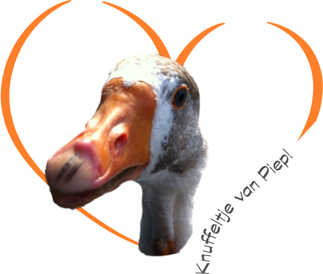Knuffeltje van Piep laatste versie