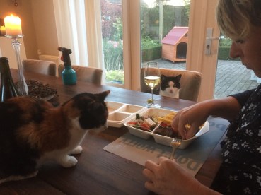 unadjustednonraw_thumb_22764