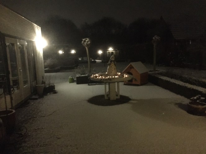 unadjustednonraw_thumb_22ce8