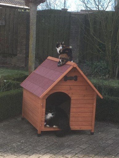 unadjustednonraw_thumb_22e00