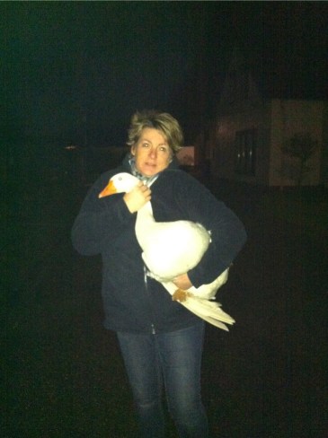 UNADJUSTEDNONRAW_thumb_2439e